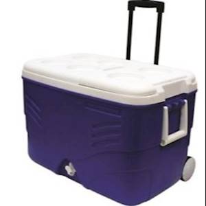 Help Milk Matters by donating a sturdy coolbox with wheels for transporting donated breastmilk for the milk bank.